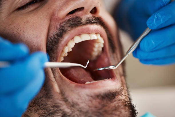 Best Laser Dentistry  in Walnut, IL
